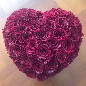 NWOT Real Preserved Red Roses Silver Heart Dome Box ❤️